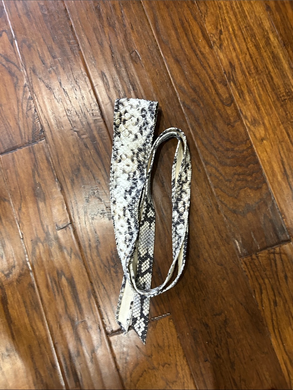 Brave leather wrap around belt, python print